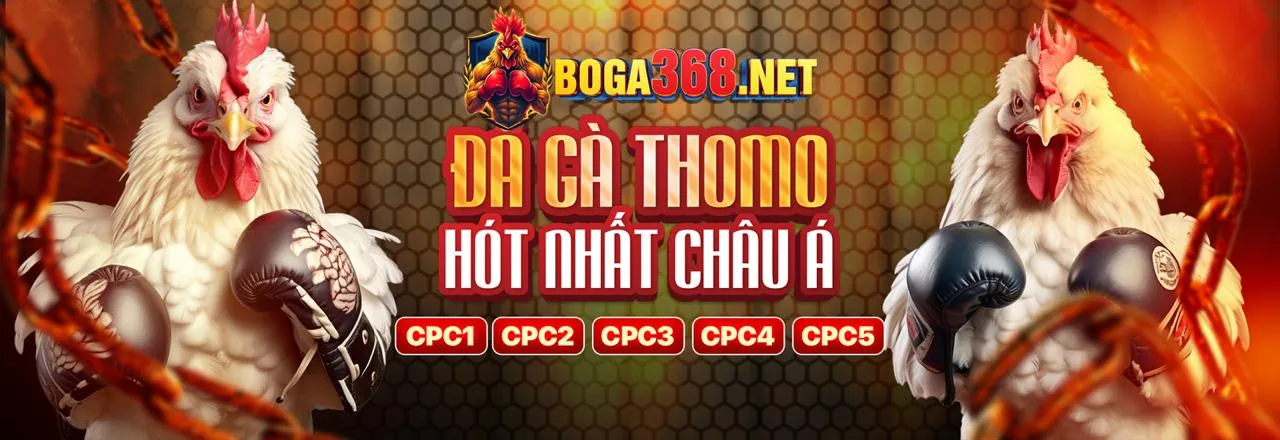 Đá gà trực tuyến kịch tính tại m.tg88
